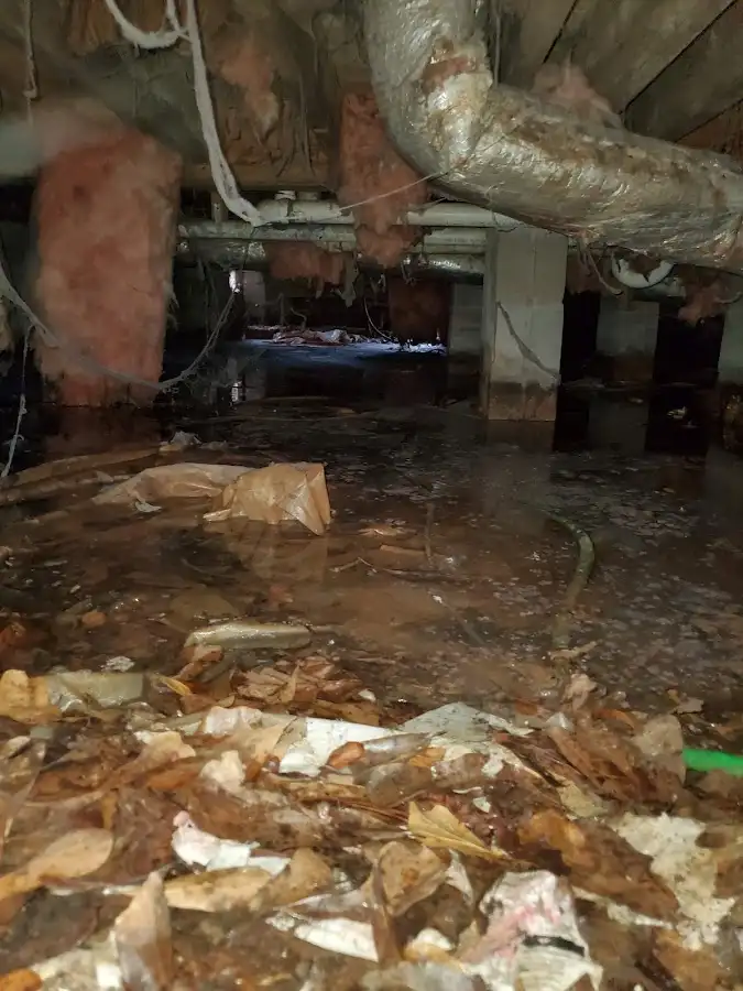 Crawl space flood assessment for Commercial Water Damage Restoration in Foley